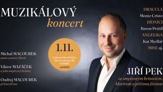 Muzikálový koncert 